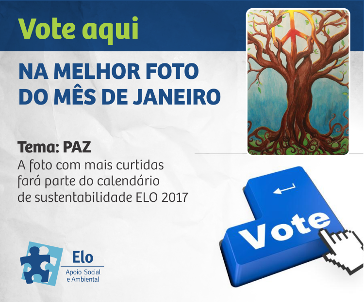 Vote - janeiro